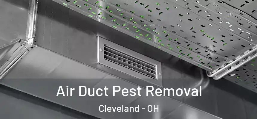 Air Duct Pest Removal Cleveland - OH