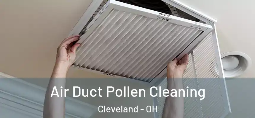 Air Duct Pollen Cleaning Cleveland - OH