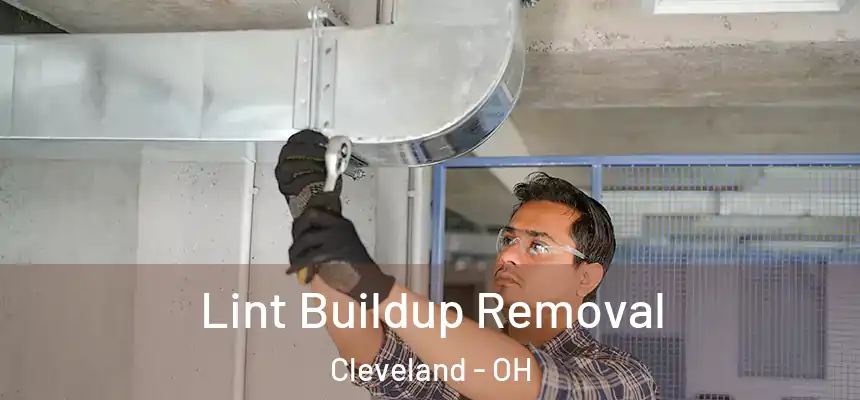 Lint Buildup Removal Cleveland - OH