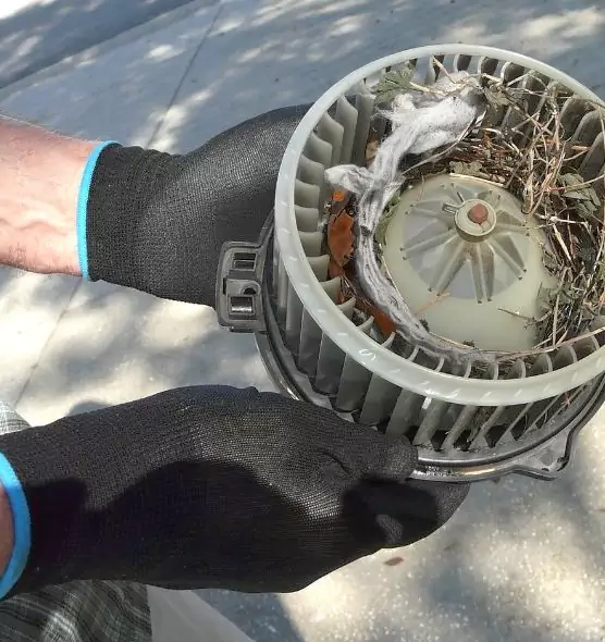 About Air Duct Rat Removal in Cleveland, OH