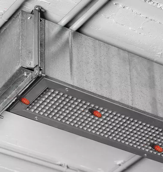 Affordable Insect Removal from Air Ducts in Cleveland, OH