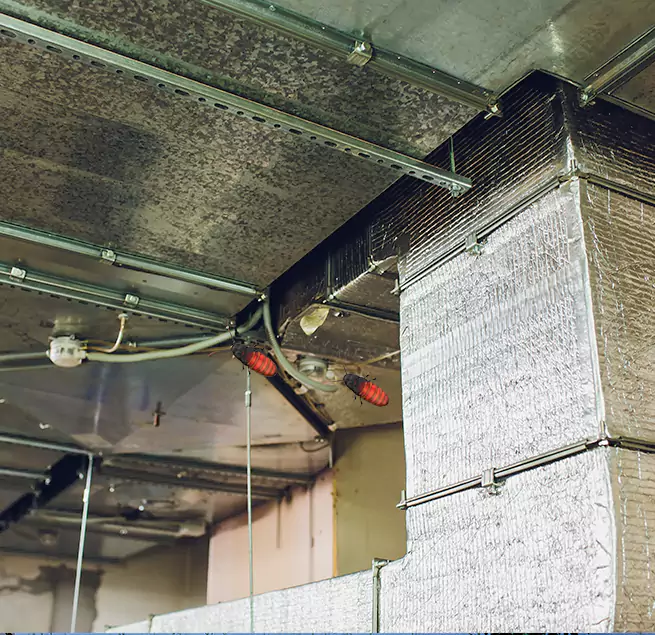 Why Homeowners & Businesses Trust Us in Cleveland, OH?